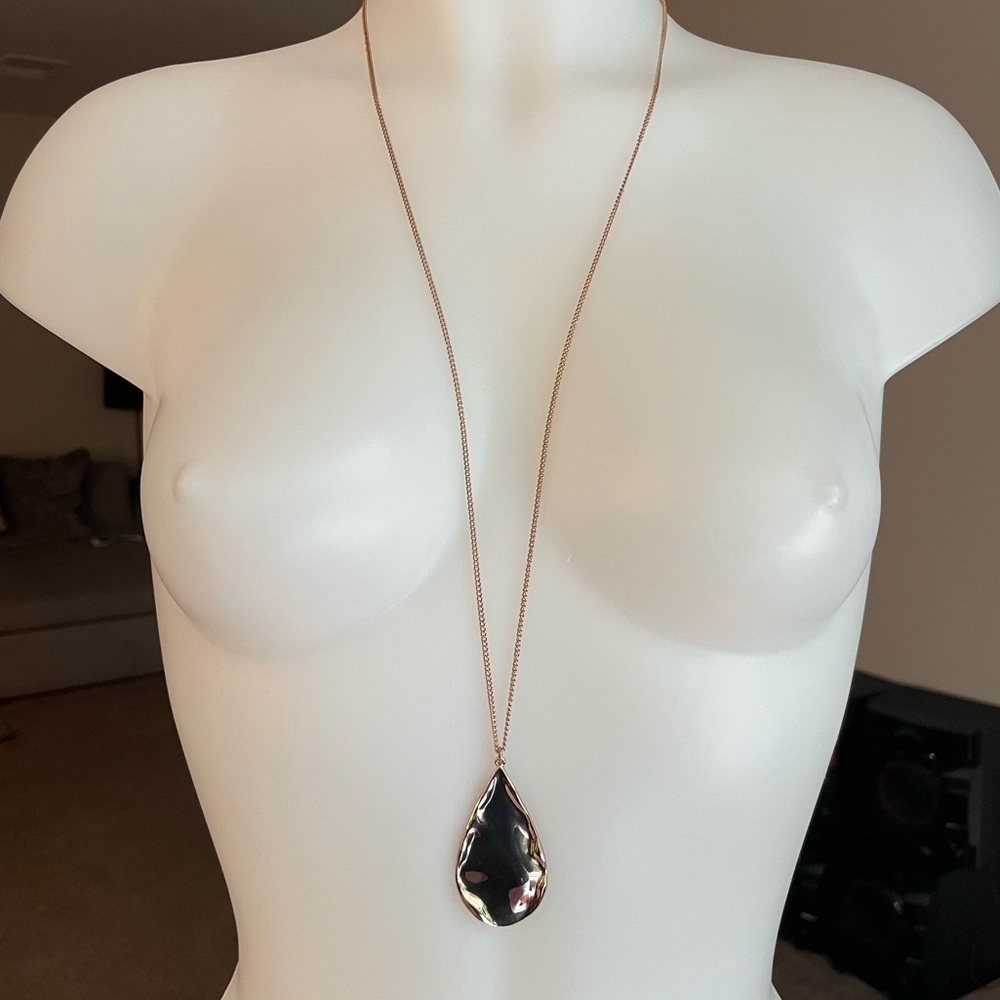 NWT - Express Pendant Necklace